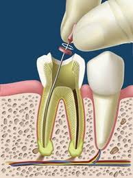 Imagen Web Dental Aragonesa
